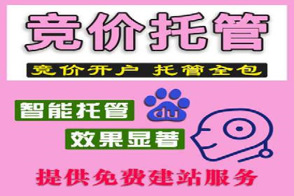 成功案例分享：SEM代运营助力企业快速拓展市场